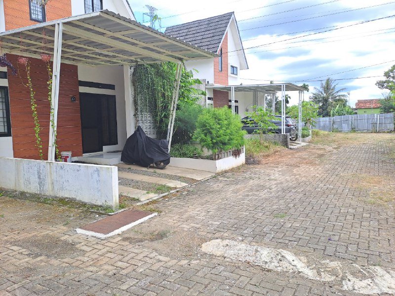 Bumi Cahaya Sakura